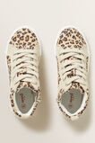 Ocelot Hightop    hi-res