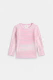 Core Rib Tee  Fairy Floss Stripe  hi-res