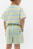 Stripe Short  Multi Stripe  hi-res