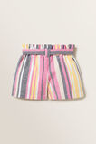 Multi Stripe Shorts    hi-res