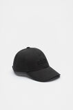 Seed Cap  Black  hi-res