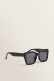 Blake D-Frame Sunglasses    hi-res