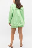 Cotton Stripe Pocket Shirt  Green Apple Stripe  hi-res
