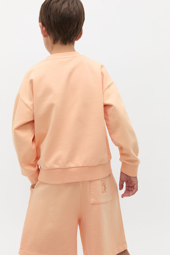 Garment Dye Sweat Top  Washed Apricot  hi-res