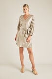 Cracked Metallic Dress    hi-res