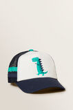 Dino Cap    hi-res