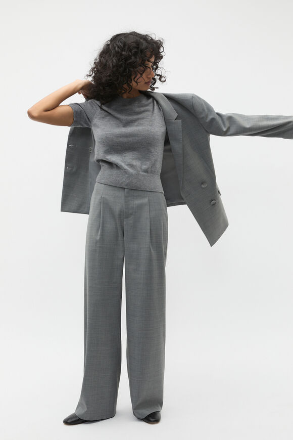 Crossdye Pleat Suit Pant  Wolf Crossdye  hi-res