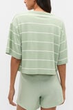 Boxy Draped Tee  Eucalyptus Stripe  hi-res