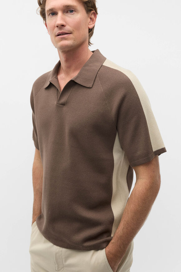 Colourblock Trophy Polo  Cocoa  hi-res