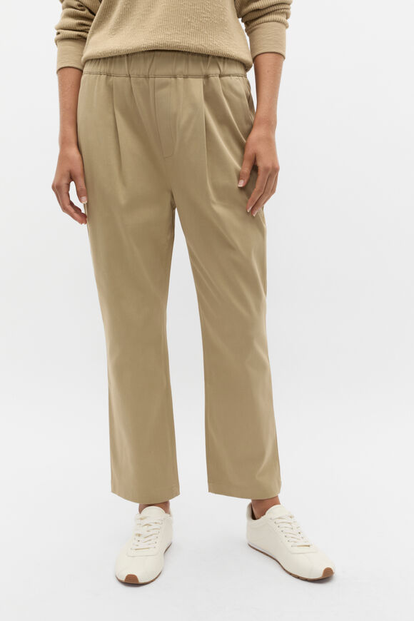 Tapered Leg Pleat Front Pant