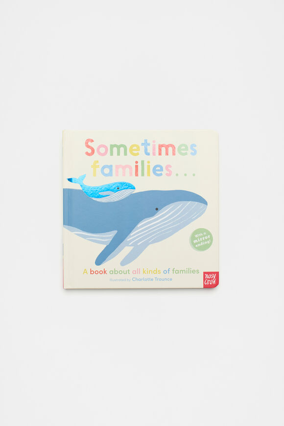 Sometimes Families Book  Multi  hi-res