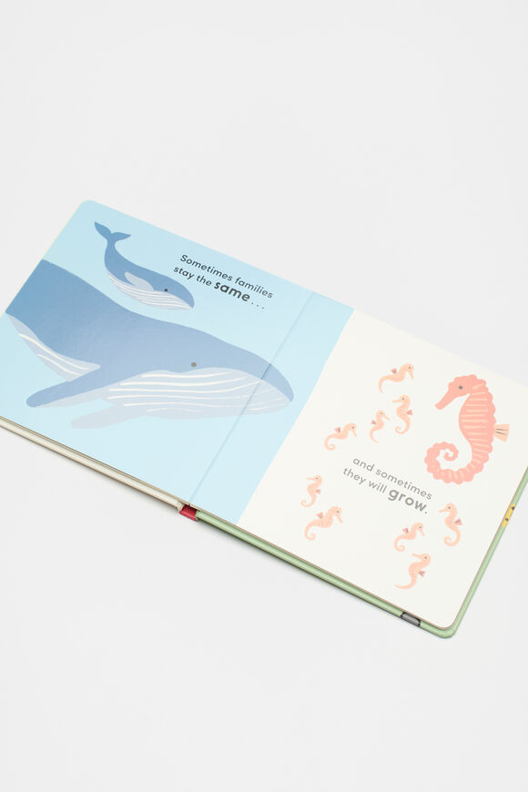 Sometimes Families Book  Multi  hi-res