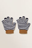 Stripe Gloves  Multi  hi-res