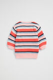 Knit Stripe Dress  Multi  hi-res