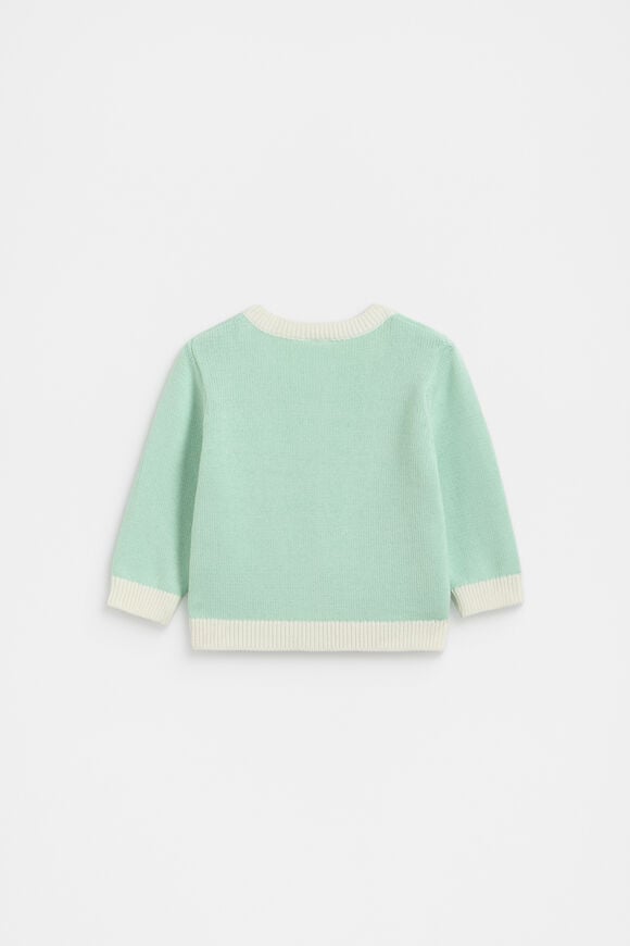 Colourblock Knit Cardigan  Mint  hi-res