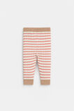 Stripe Knit Legging  Multi  hi-res