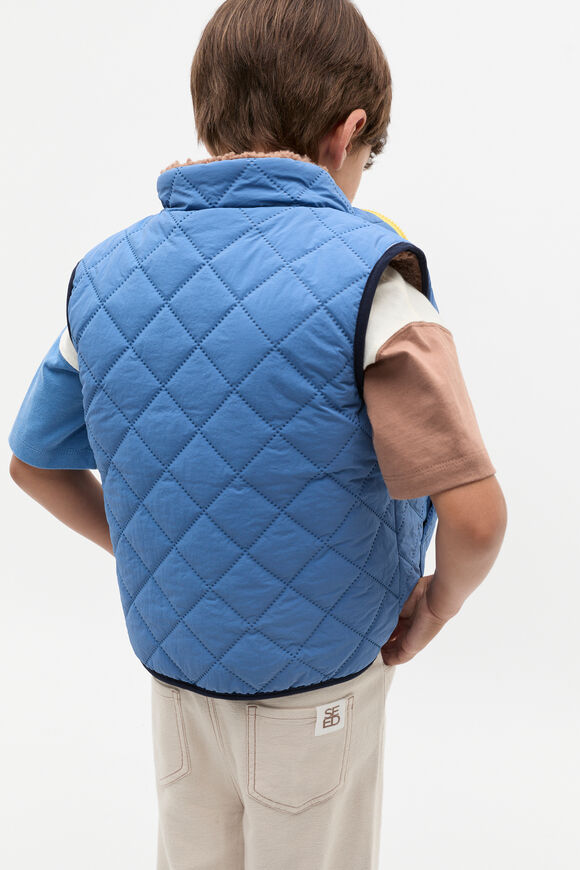 Reversible Vest  Multi  hi-res