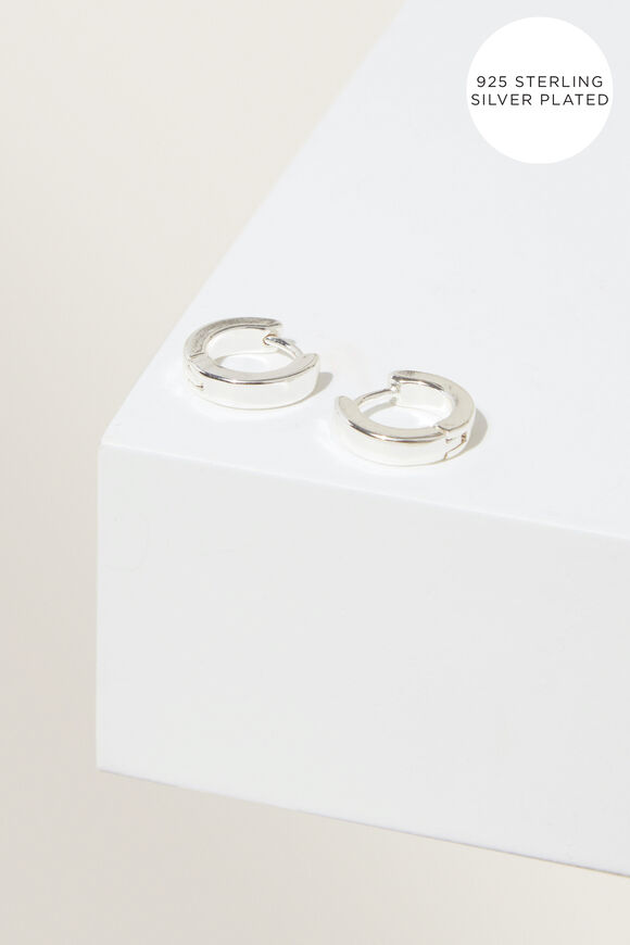 Fine Earrings  Silver  hi-res