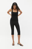Capri Pant  Black  hi-res