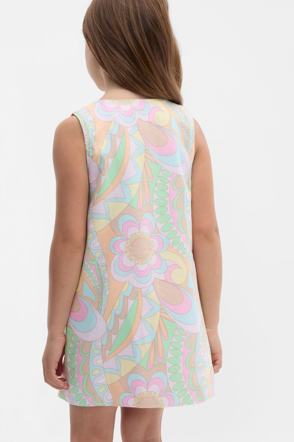 Paisley Dress  Multi