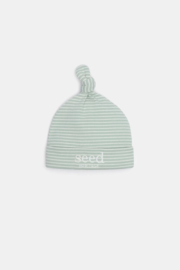 Core Rib Logo Hat  Sage Stripe  hi-res