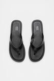 Classic Thongs  Black  hi-res