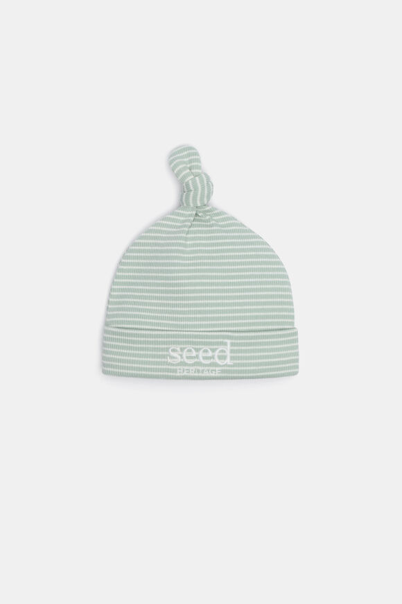 Core Rib Logo Hat  Sage Stripe  hi-res