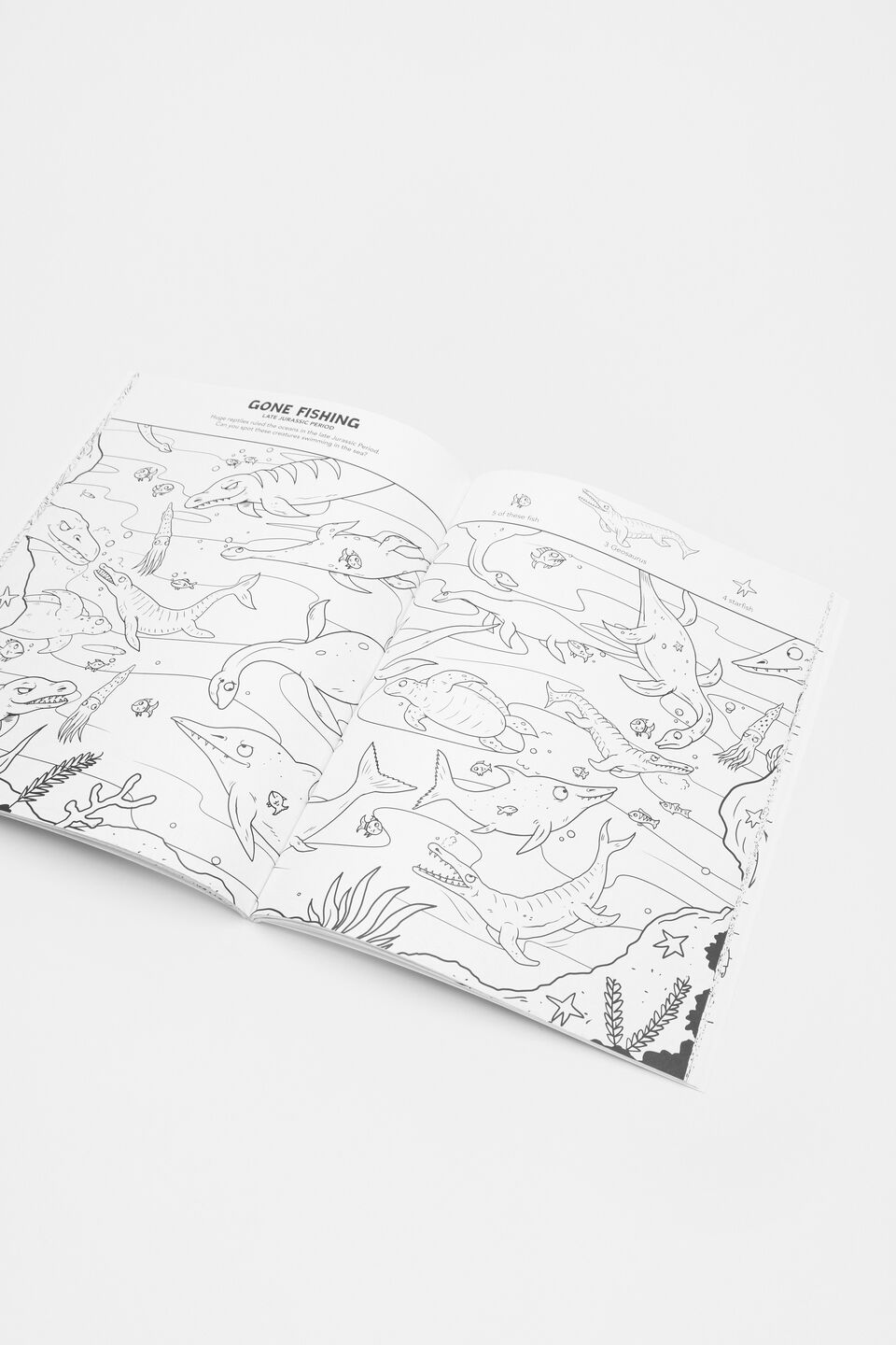 Where's The Dinosaur? Colour And Search Book  Multi