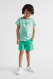 Core Logo Tee  Jade Green Stripe  hi-res