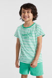 Core Logo Tee  Jade Green Stripe  hi-res