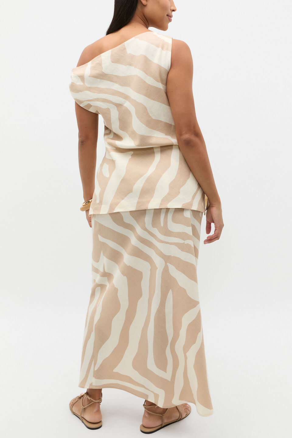 Abstract Animal Asymmetric Top  Abstract Animal