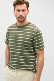 Crew Stripe Tee  Olive Stripe  hi-res