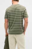 Crew Stripe Tee  Olive Stripe  hi-res