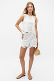 Scallop Broderie Short  Whisper White  hi-res