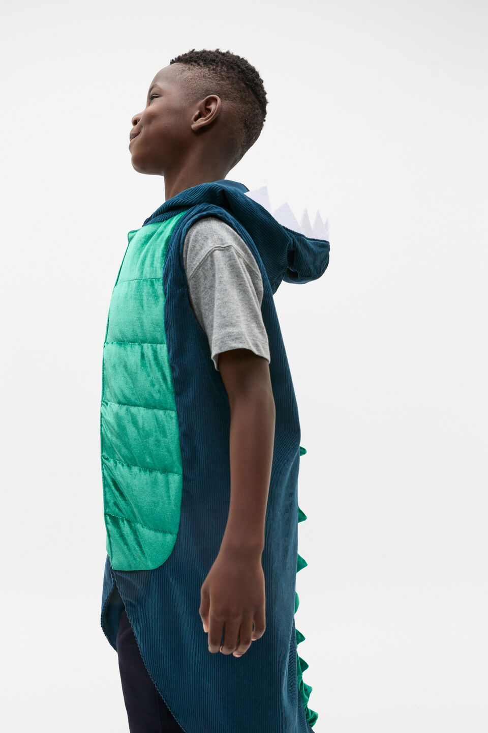 Corduroy Dinosaur Dress Up  Multi