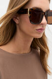 Cynthia Oversized Sunglasses  Dark Tort  hi-res