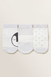 Penguin 3 Pack Socks    hi-res