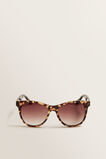 Thea Tort Sunglasses    hi-res