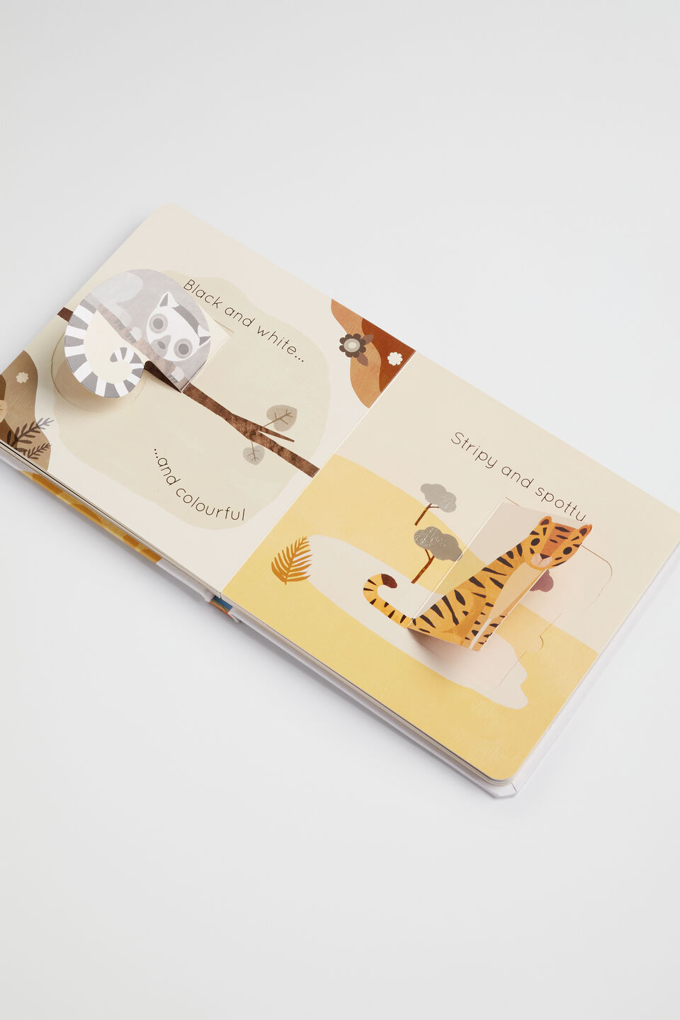 Big and Little Book  Multi