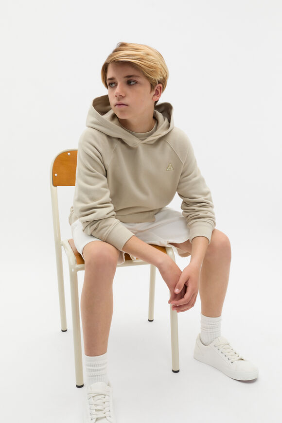 Garment Dye Hoodie  Cool Stone  hi-res