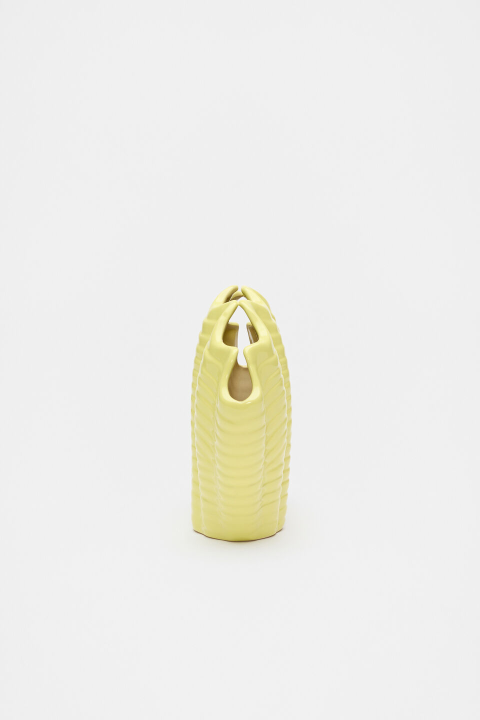 Shell Vase  Lemongrass