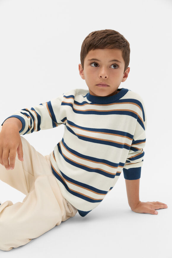 Stripe Crew Knit  Multi  hi-res