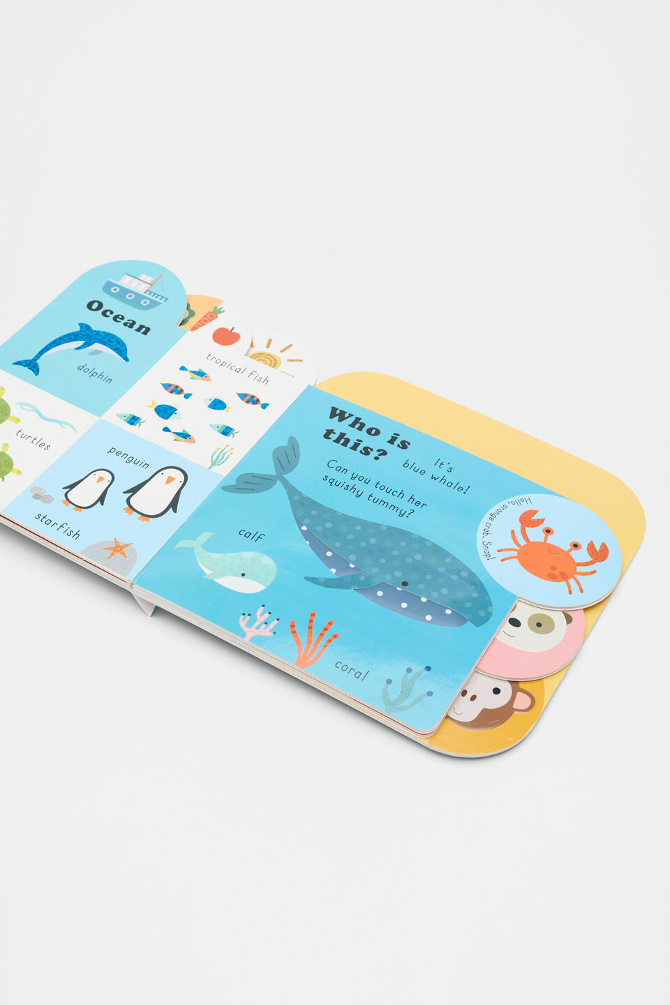 Touchy Feelies: Animal Book  Multi