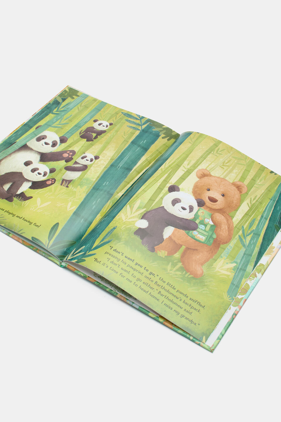 Jellycat It's a Big World Bartholomew Book  Multi