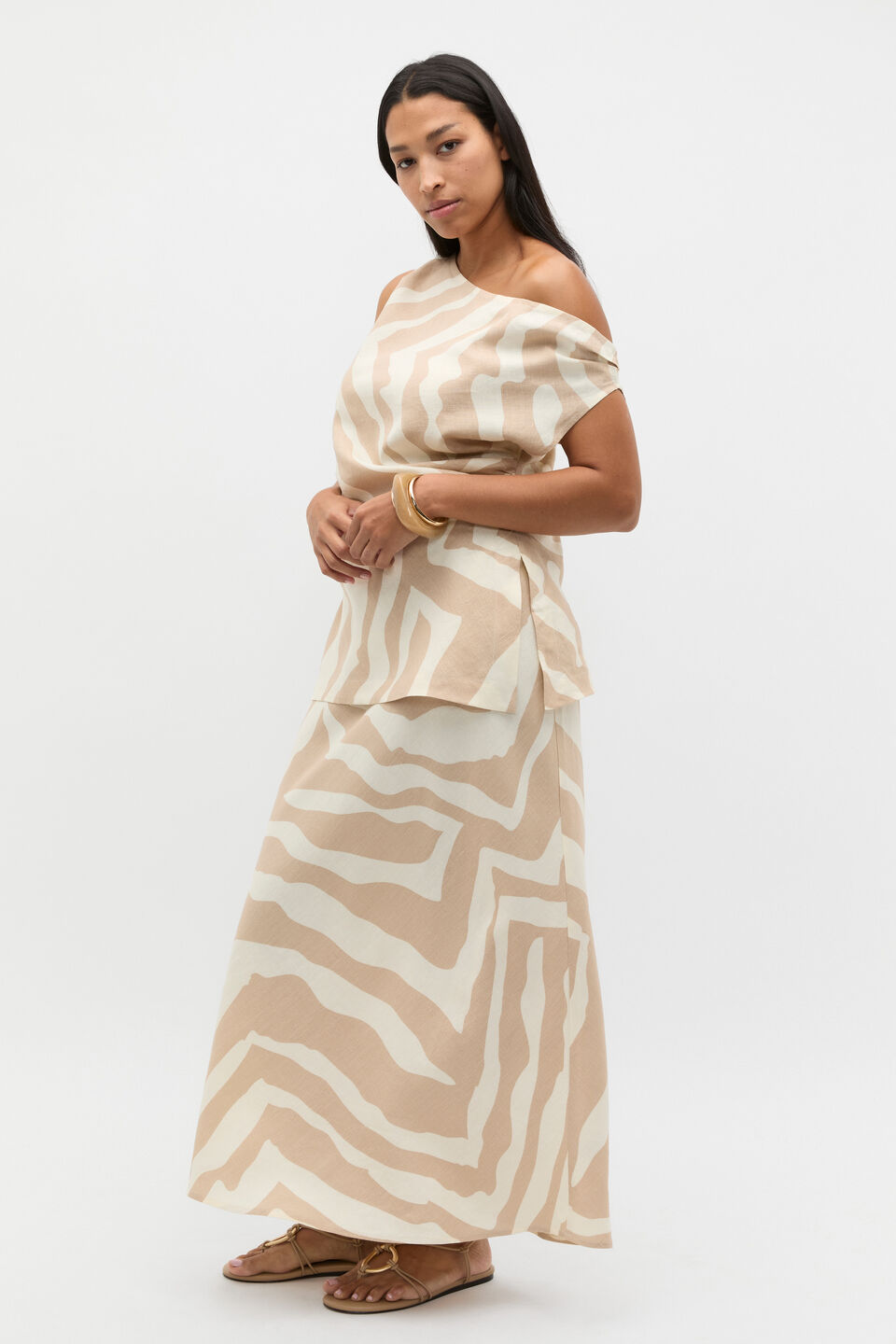 Abstract Animal Asymmetric Top  Abstract Animal