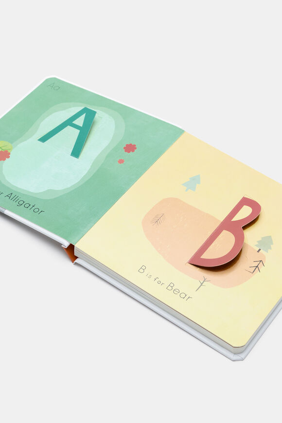 A TO Z: AN ALPHABET OF ANIMALS  Multi  hi-res