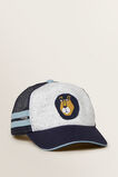 Lion Cap    hi-res