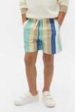 Stripe Short  Mint Stripe  hi-res