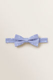 Stripe Bow Tie    hi-res