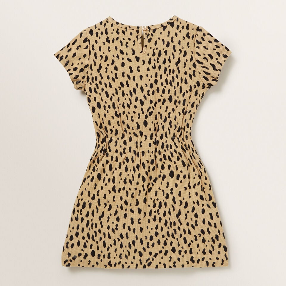 Clinched Waist Dress  